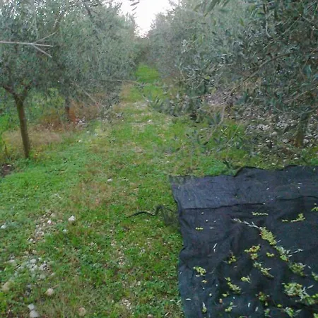 Casa Riz Landhuis Cormòns